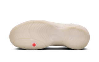 The Nike Clogposite 